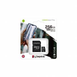 Carte microSD 256Go