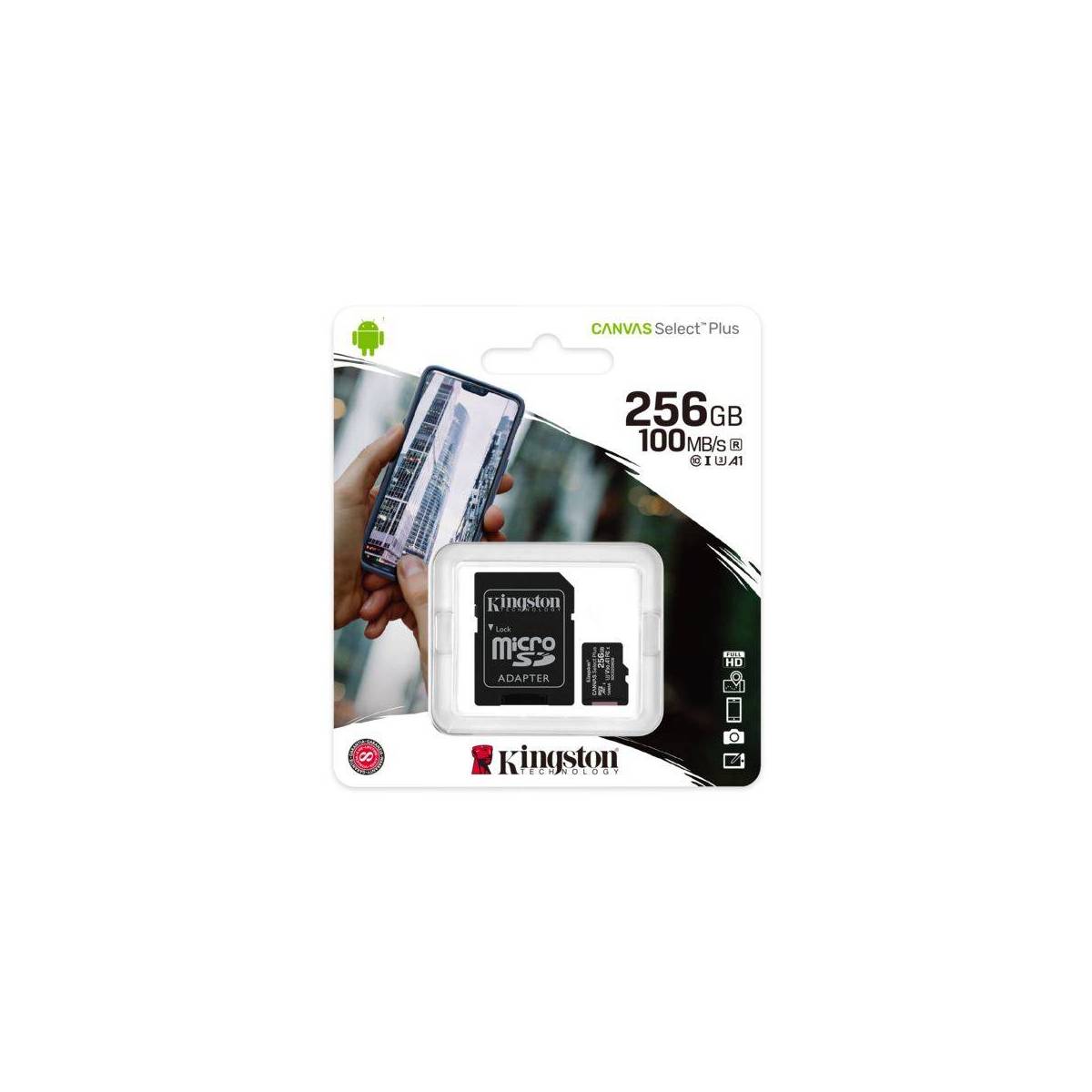 Carte microSD 256Go