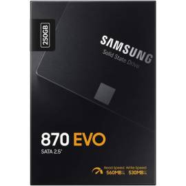 SSD Samsung 870 EVO - 250Go